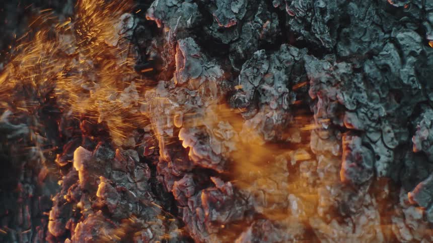 Close up on burning bark.