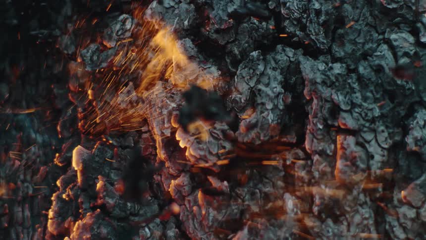 Charred burning wood with flames and embers rising