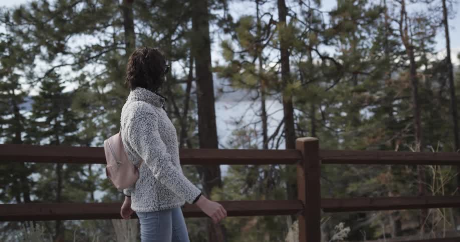 Woman walks over bridge in conifer forest near water