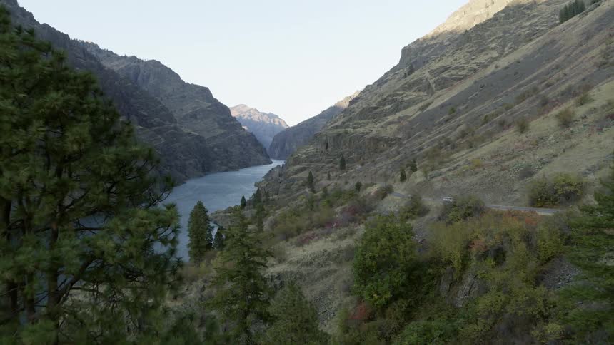 Flying through a stand of pine trees to reveal a white car driving up a rural road in a beautiful river canyon