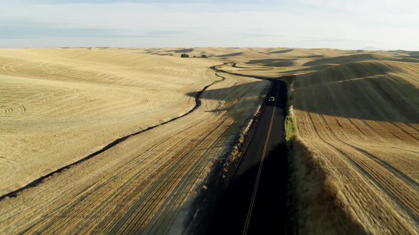 Pullback tracking shot leading a black pickup truck through rolling agricultural fields