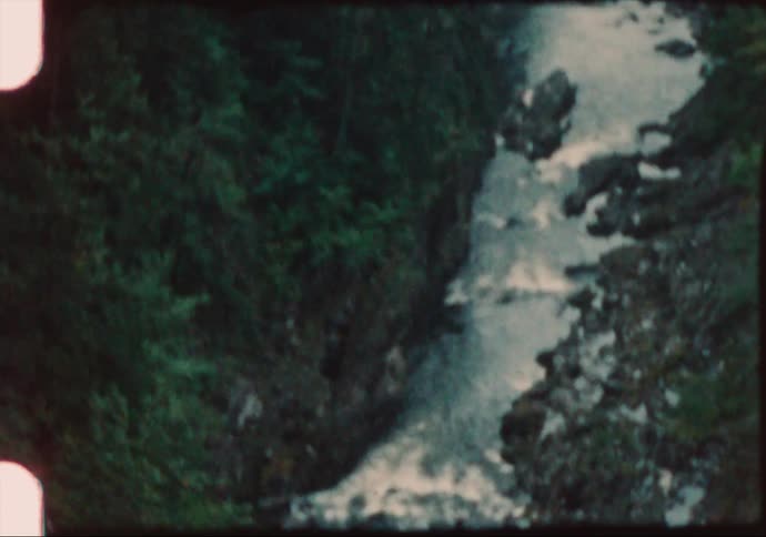 River flowing throught the pine tree forest in the mountains caught on vintage film
