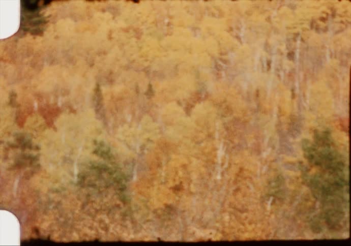 Vintage 8mm of golden autumn tones
