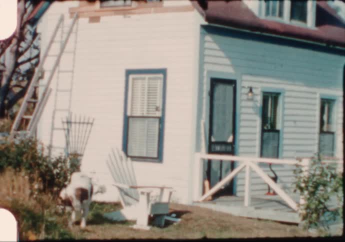 A large dog wanders by a summer cottage in New England in the 1950's