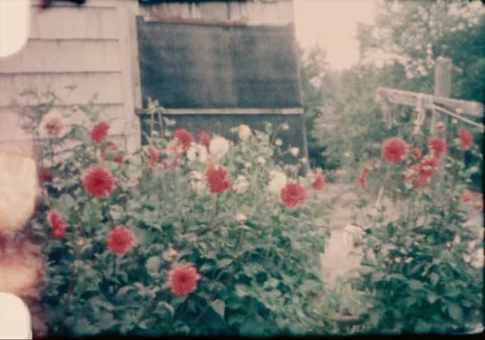 Footage of a house and its backyard is displayed