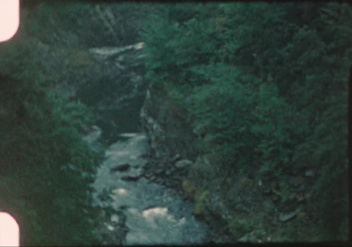 View of a mountain stream flowing through forest