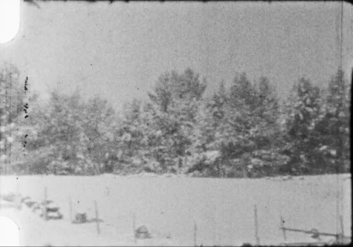 Snow covered trees and land on a winter day