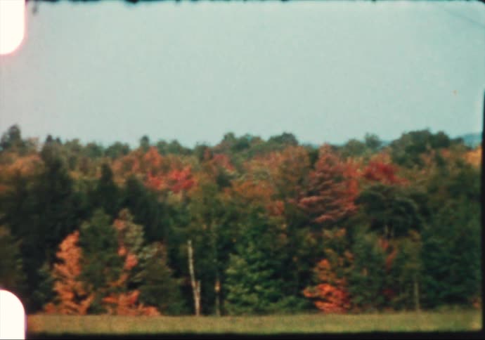 Trees in the countryside start to turn a bright orange during autumn