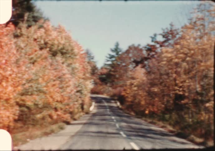 Open road with trees
