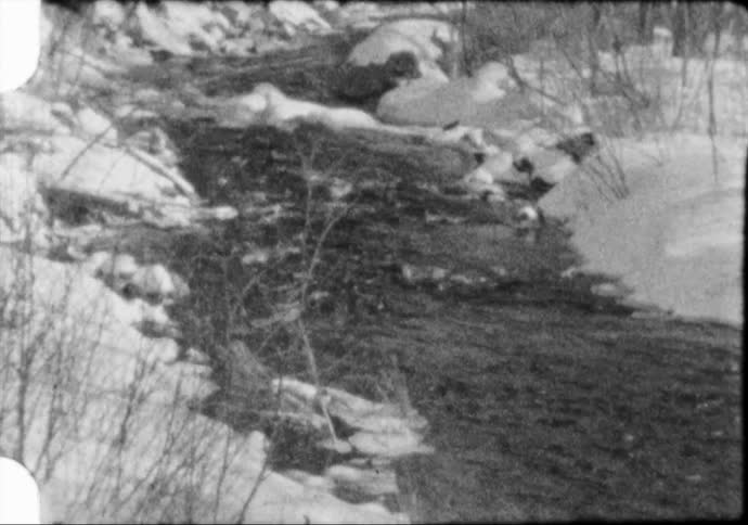 The stream is surrounded by snow