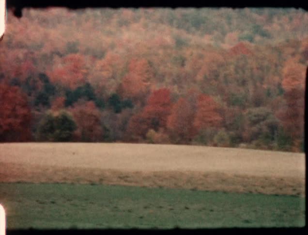 Trees covered in fall foliage on an autumn day