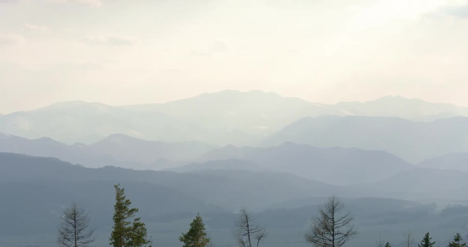 Trees are displayed and mountains are in the horizon