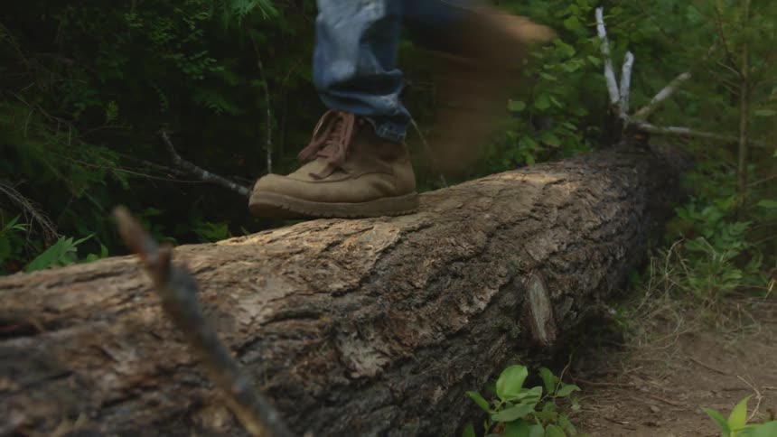 People running and jumping over a log with trees and plants in the background