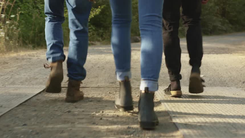 Three friends walking on a trail through the forest at morning