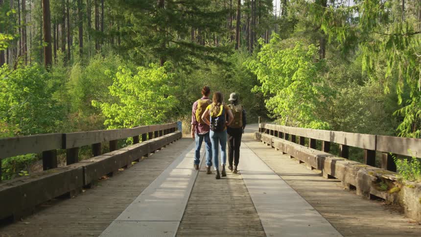 Two men and a woman with backpacks walking on a bridge with trees the sky and clouds in the background