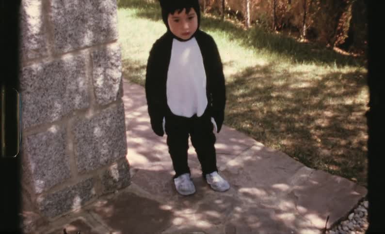 A boy is dressed in a cat costume
