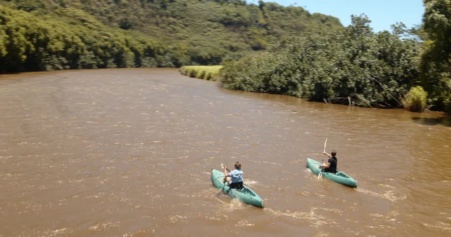 Two men kayak on a river on a sunny day