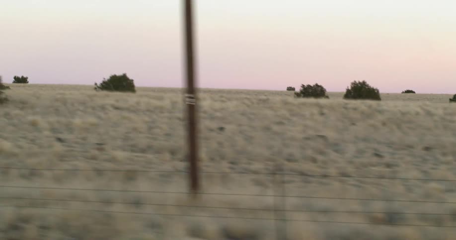 Traveling past a fenced in field of dried grass dotted with short green trees