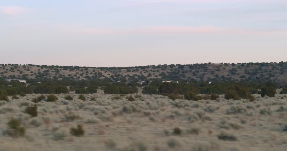 Moving through the grasslands