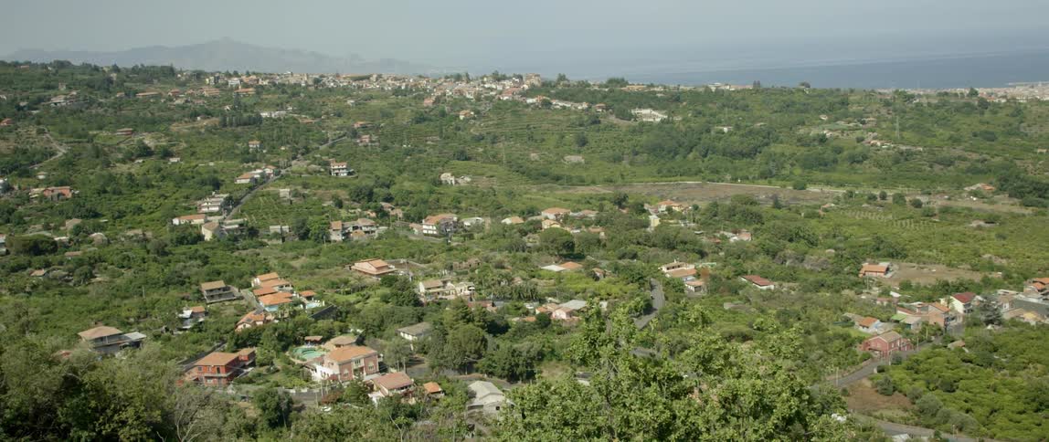 Aerial view of houses surrounded by trees