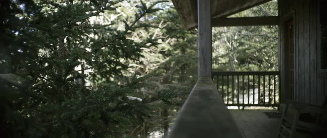 Porch overlooking the woods