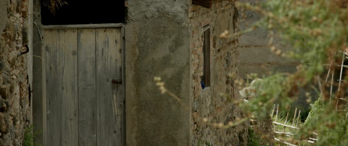 A wooden door entrance to a building