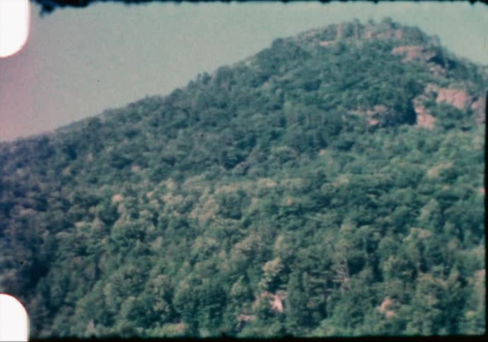 Dense trees cover nearly every inch of steep hills