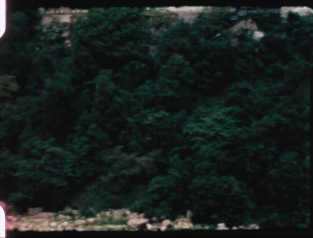 A view of a valley with trees in it