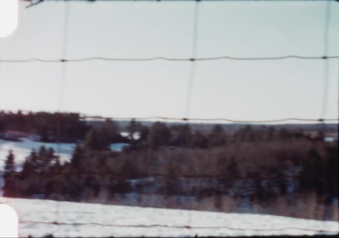 Forest in the countryside covered in snow behind a wire fence caught on film