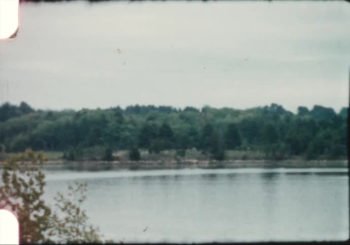A lake surrounded by forest during the day
