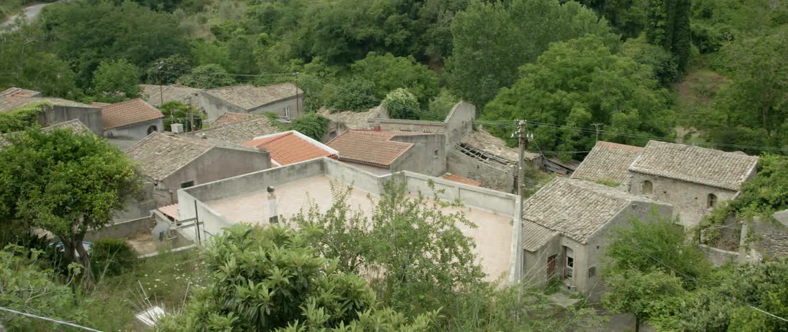 Rooftops and trees in the daytime