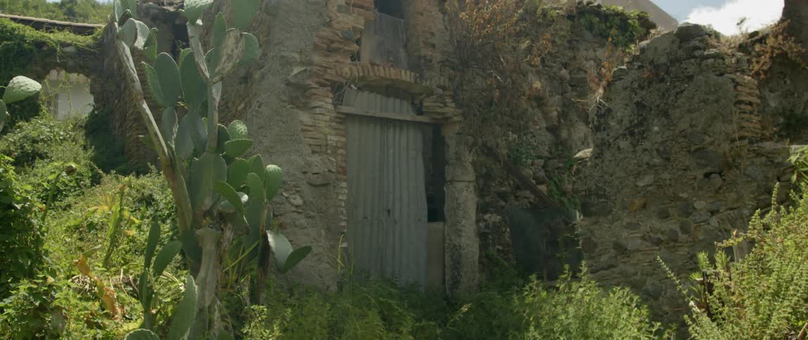 A doorway on a stone building with brush all overgrown around it