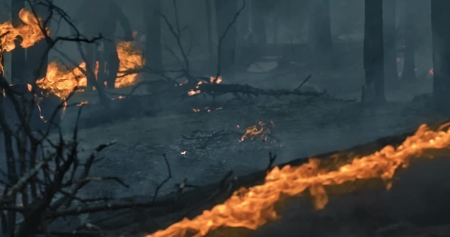 A person on a mountain bike leaps over flames in a burning forest