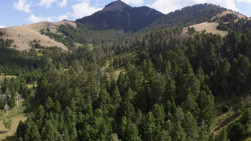 Forested mountain range on a cloudy day