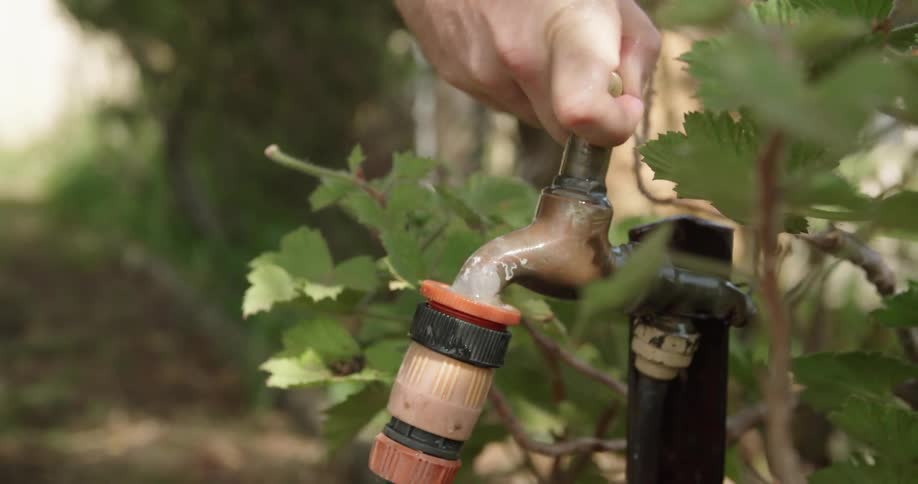 A person turns the faucet on their garden hose