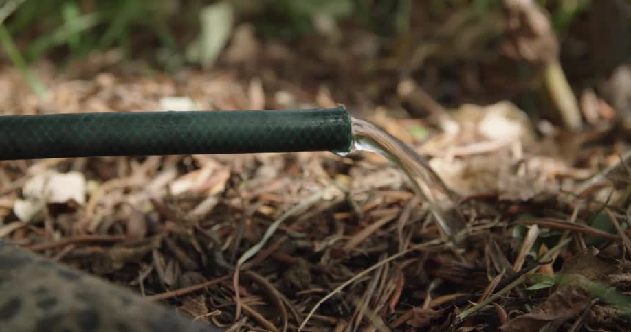Water flows on dry grass from garden hose
