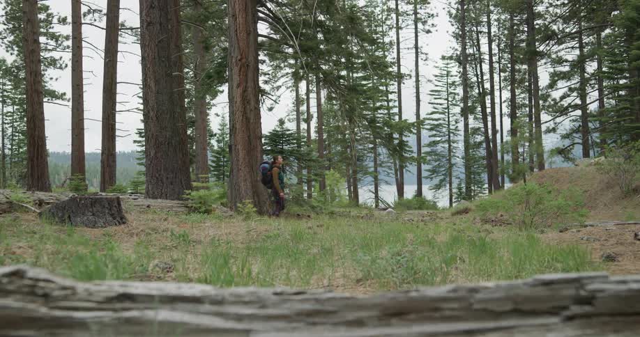Woman wearing a backpack walking on a trail through the pine tree forest near a lake