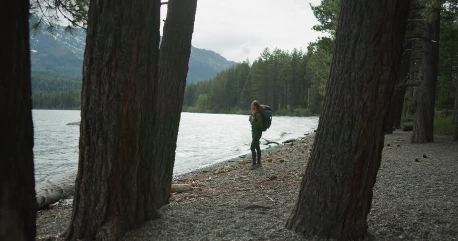 Young woman with a backpack standing on the shore of a lake near the pine tree forest in the mountains