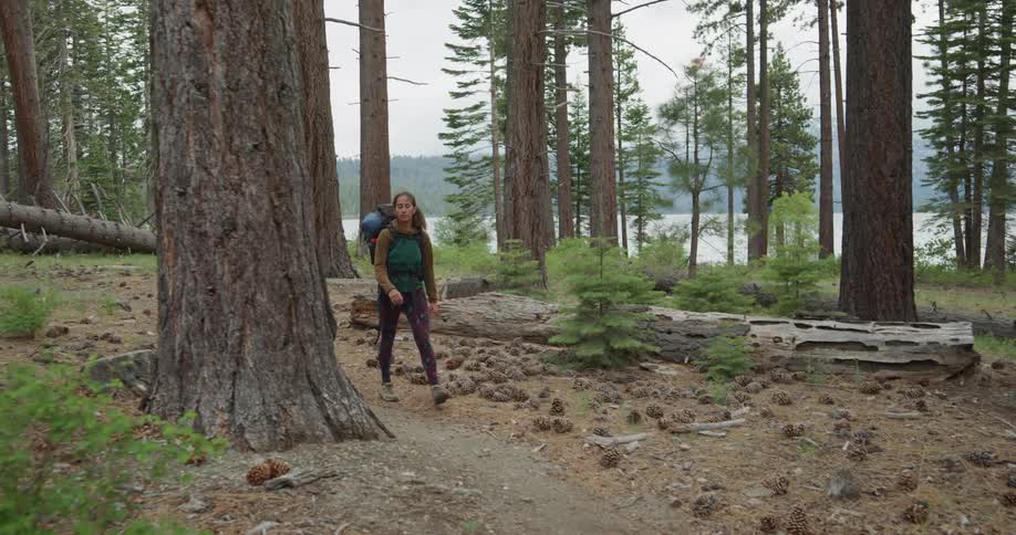 Woman hikes along trail through forest near lake with mountains on horizon