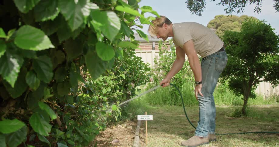 A man waters plants in his back yard