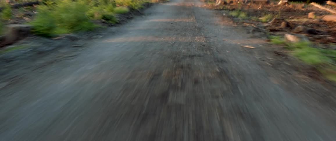 A small path runs through the field