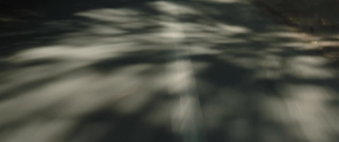 Shaky timelapse of the white line in the middle of a rural road