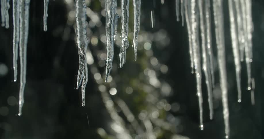 Droplets of water falling off icicles as they melt