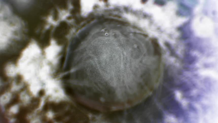 Liquid moves within a gray sphere under a microscope