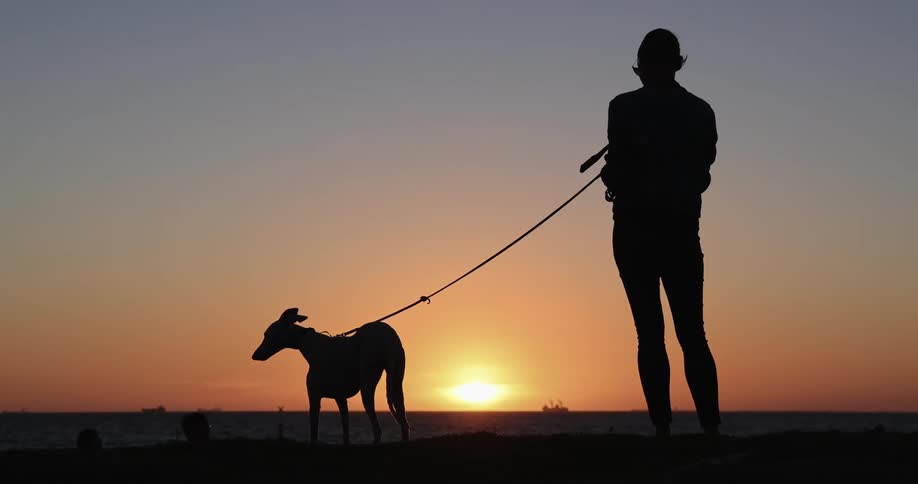 A woman holds a dog on a leash as the sun sets