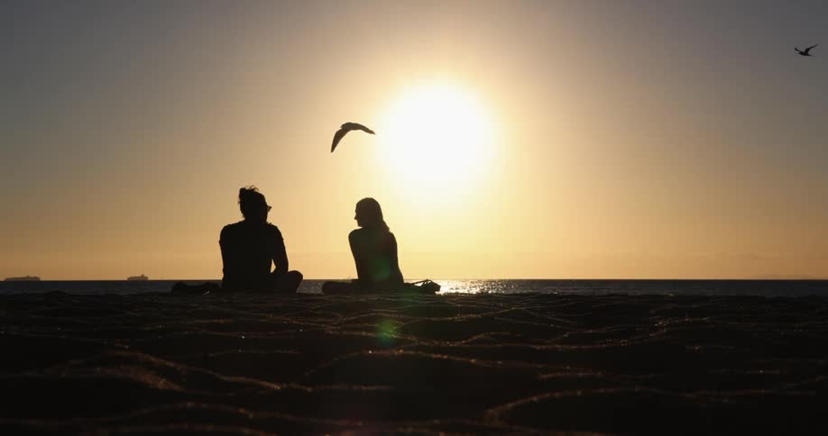 Birds fly past as two people sit on the beach under a golden sun