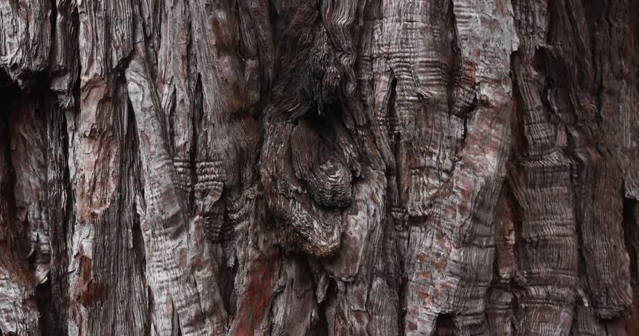 Textured gray and brown surface