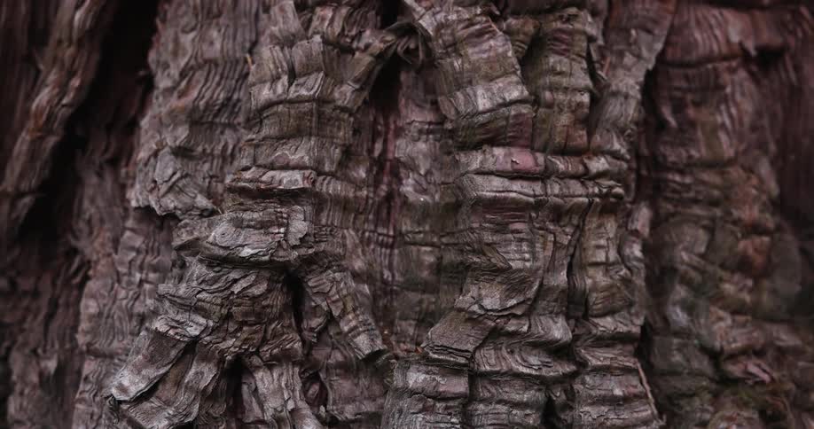 The side of a canyon is heavily ridged and textured