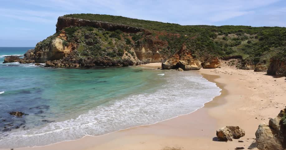 Vegetation covers promontory as waves roll onto beach on cloudy day