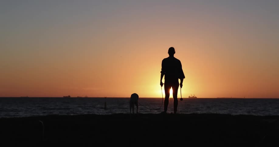 A person that is walking a dog outdoors